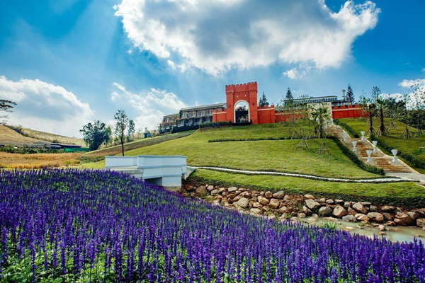 natural garden